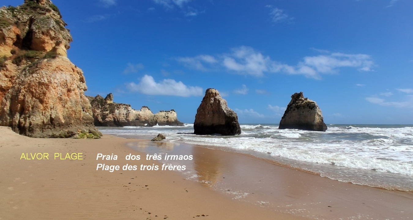 faro23