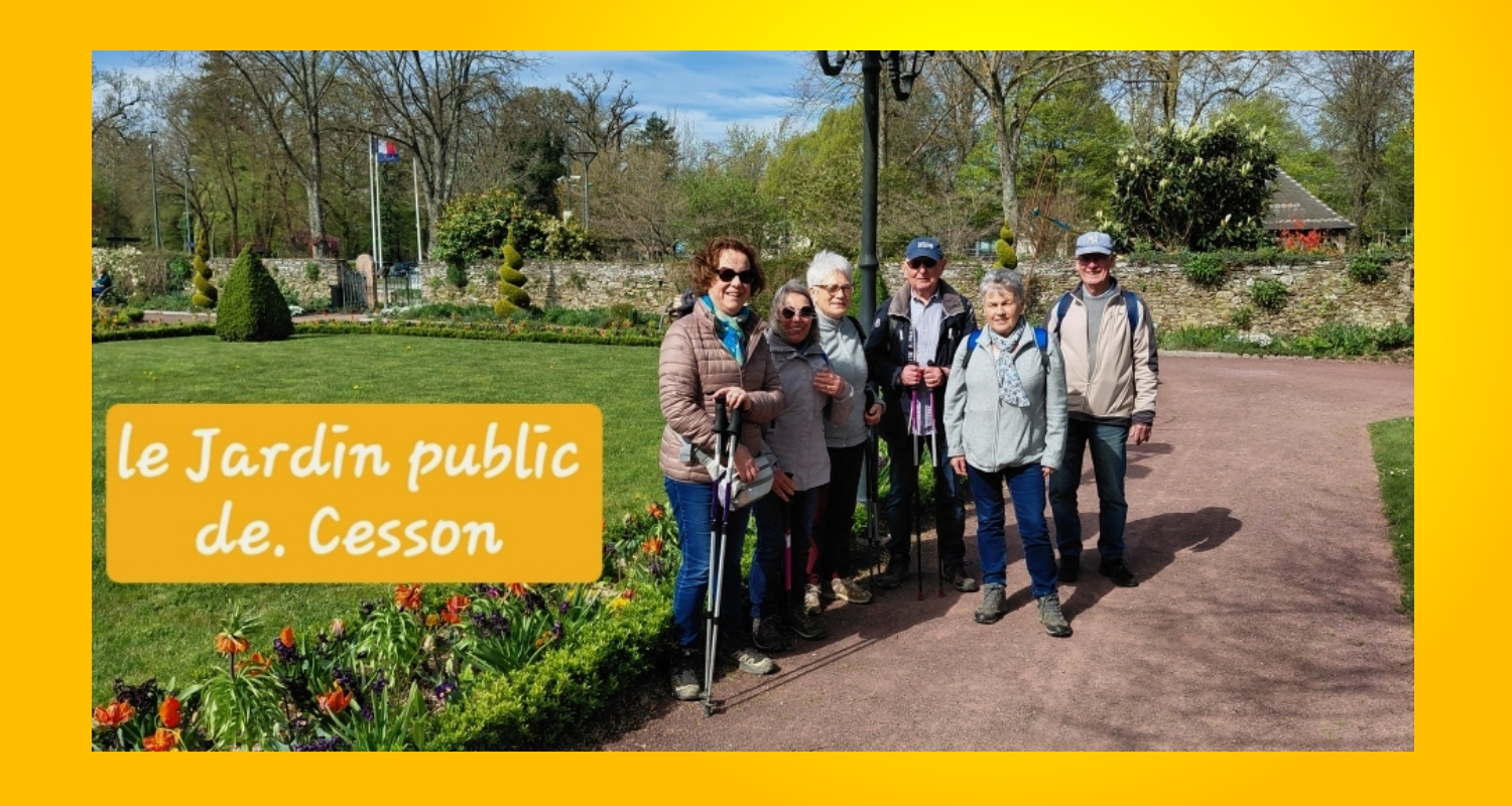 javascript image slider